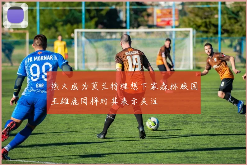 热火成为莫兰特理想下家森林狼国王雄鹿同样对其表示关注
