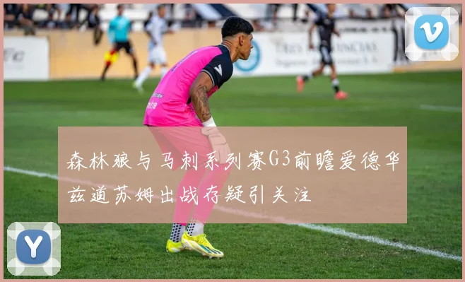 森林狼与马刺系列赛G3前瞻爱德华兹道苏姆出战存疑引关注
